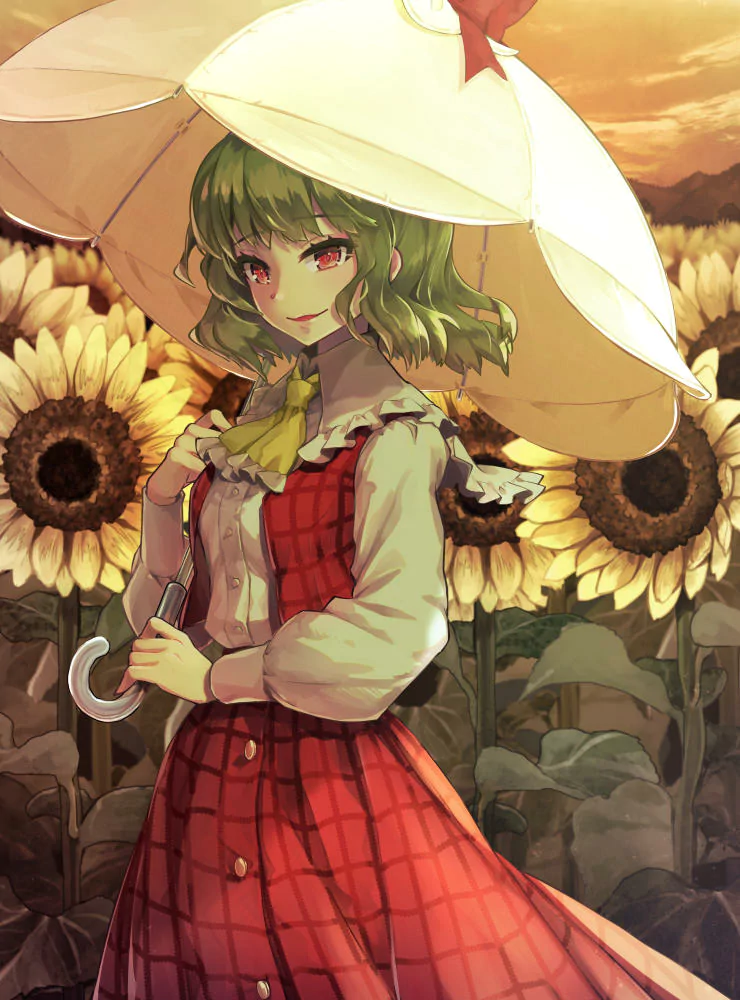 umbrella Yuuka Kazami Anime Touhou Image