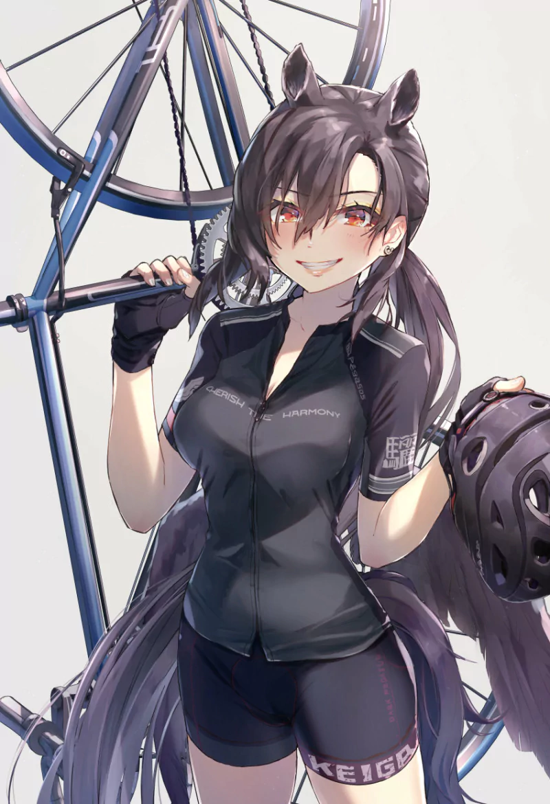 Saki Kurokoma Anime Touhou Image