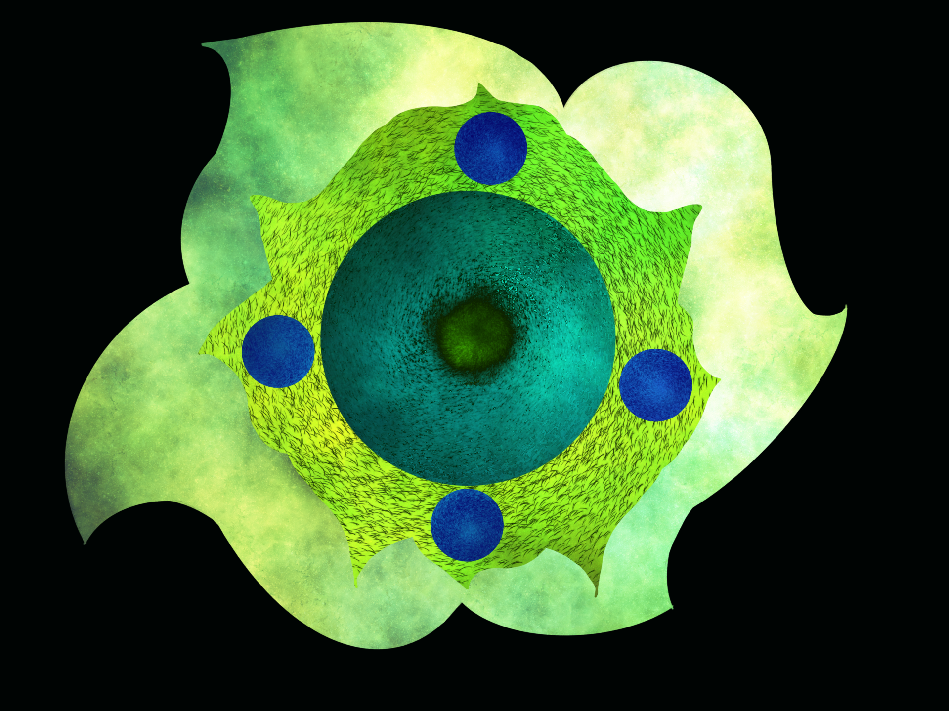 Natural flower by Angel969