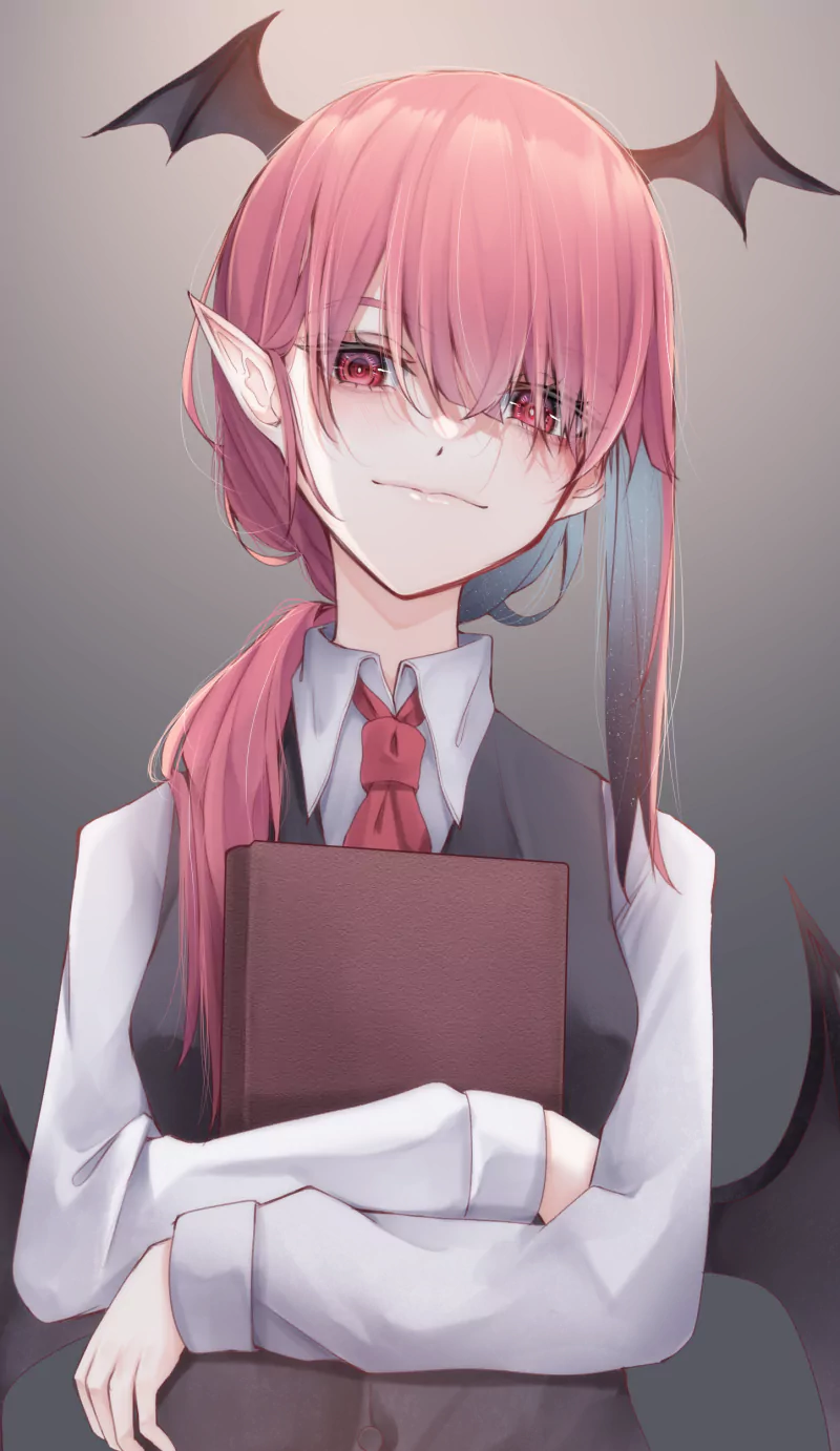 Koakuma (Touhou) Anime Touhou Image