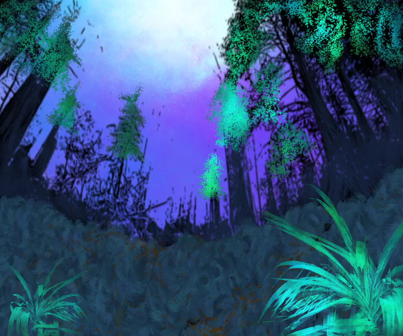  The wonders of nature and the sky