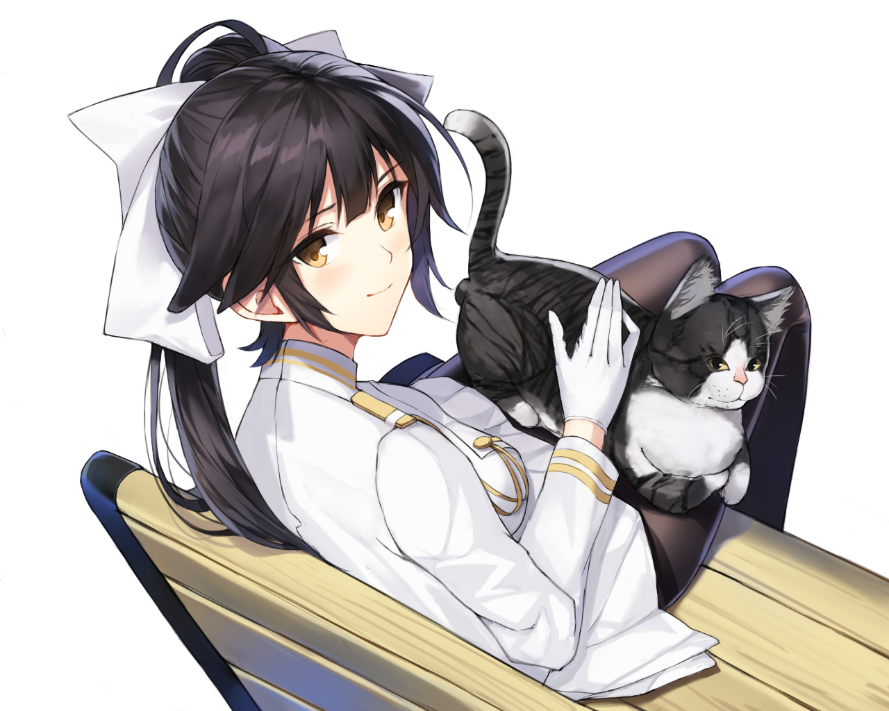 Download Cat Takao (Azur Lane) Anime Azur Lane Anime Cat Art