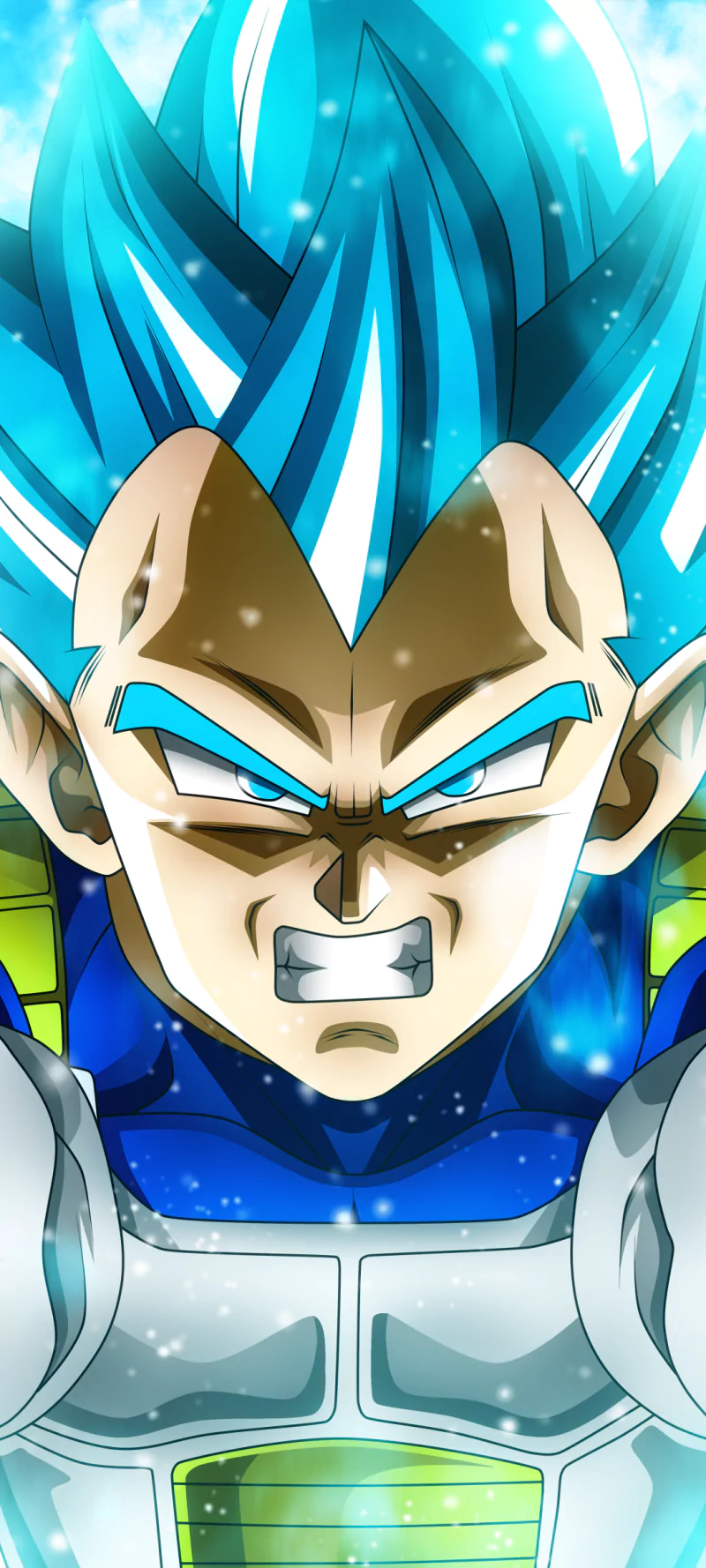  Vegeta (Dragon Ball)