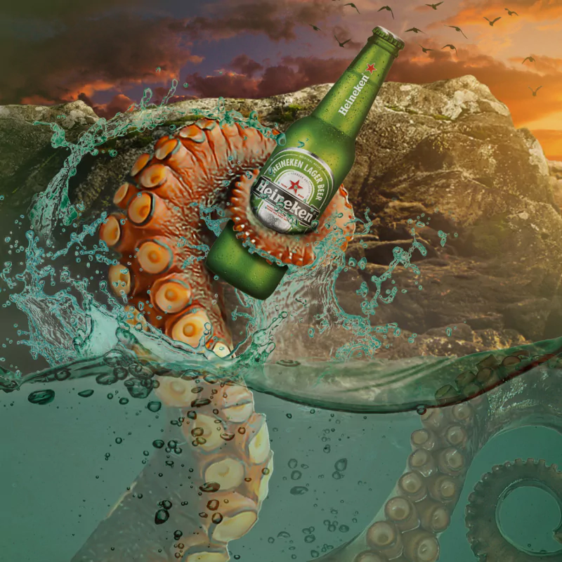  Polvo com cerveja