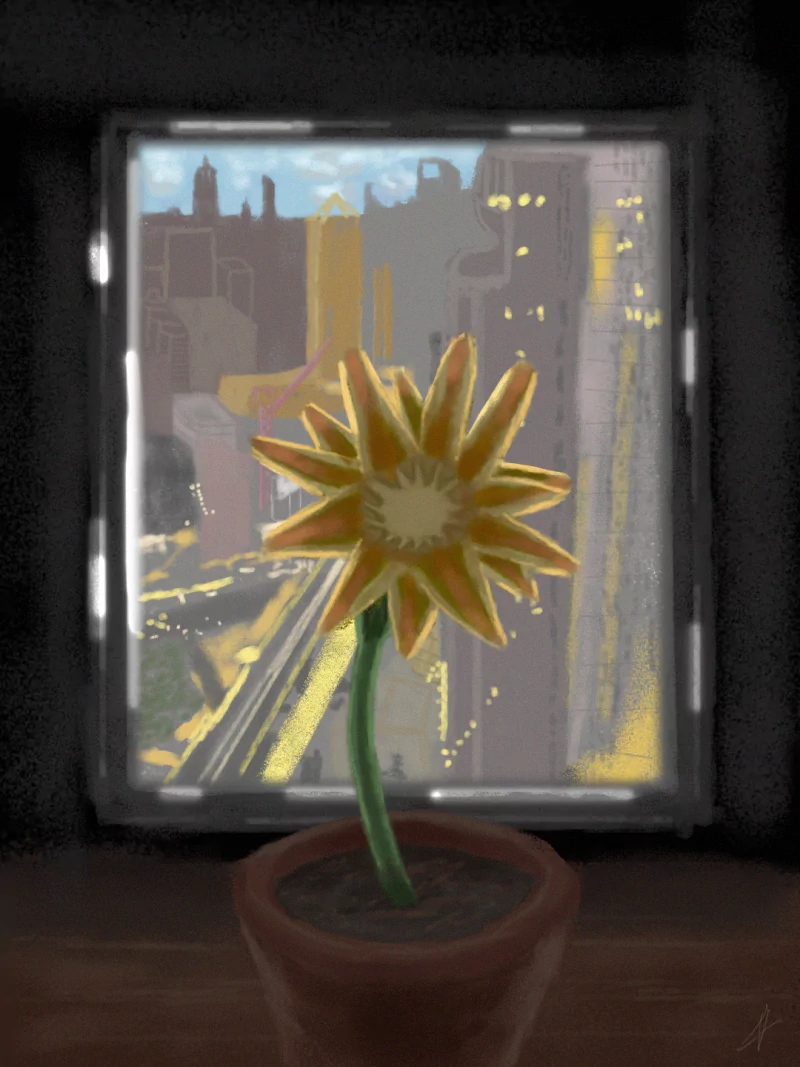  Flower on a Window