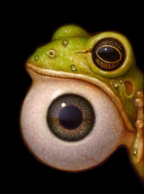 Peek 195 by Naoti Hattori