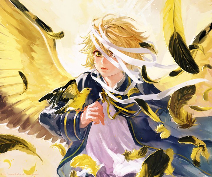Download Bird Wings Blonde Oliver (Vocaloid) Anime Vocaloid Anime Bird Art
