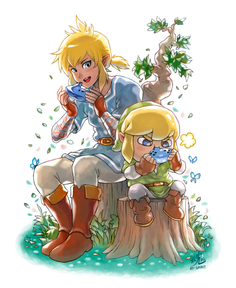 Toon Link Link video game The Legend of Zelda: Breath of the Wild Image