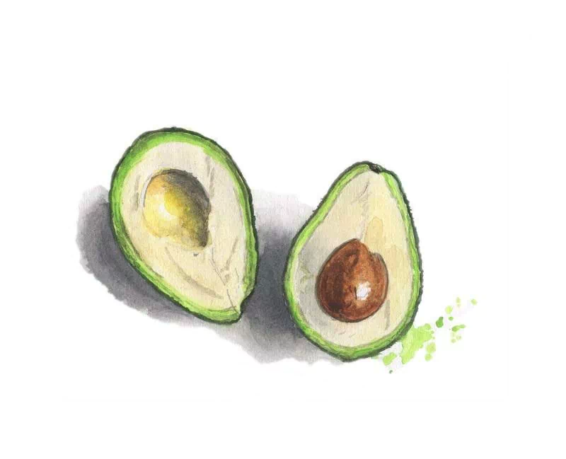  Avocado