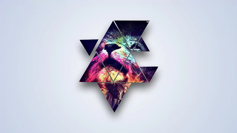  Lion in different triangles.