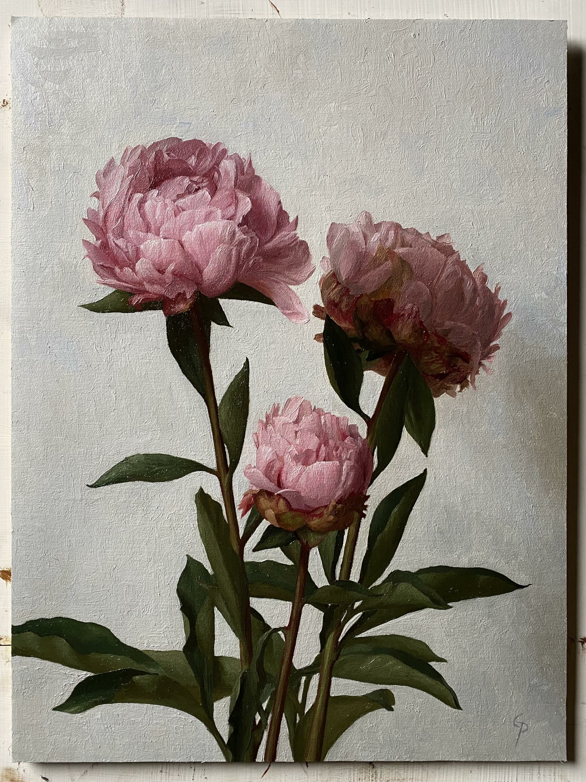 Nature-themed still-life of three pink peony blooms on tall stems with dark green leaves set against a pale, textured background.