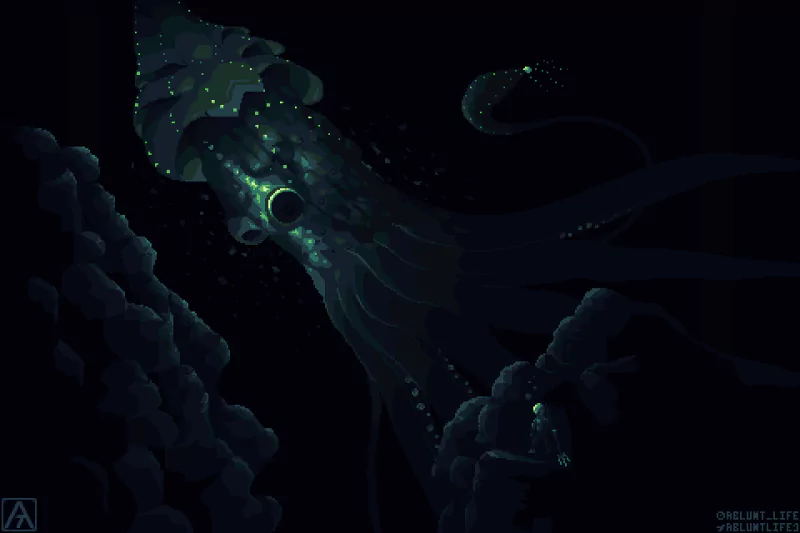 Animal squid Image