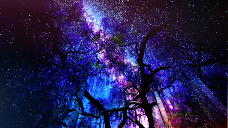 Artistic nightscape of silhouetted tree branches beneath a vivid, rainbow-colored Milky Way and cascading starlight.