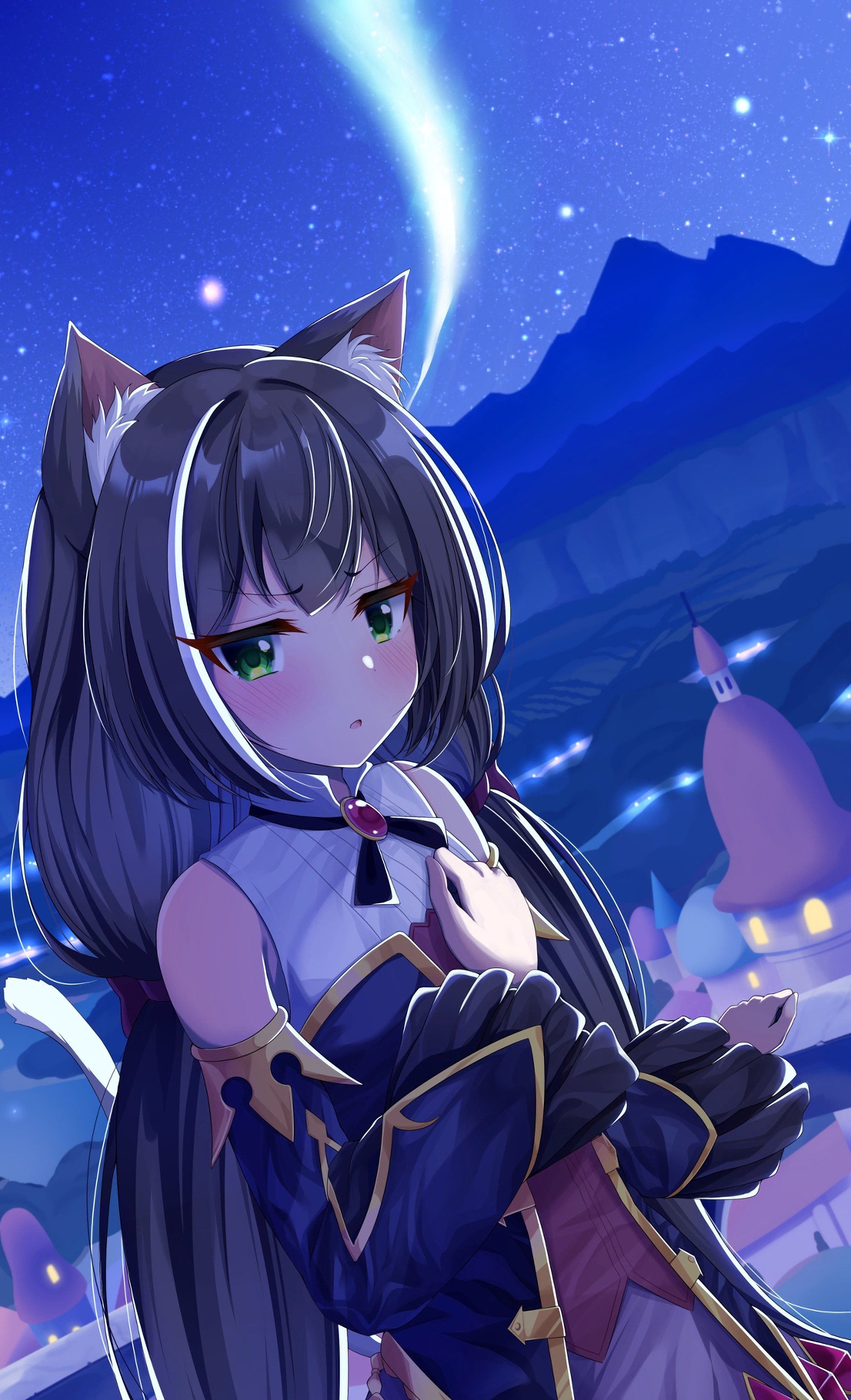 Karyl Momochi from Princess Connect! Re:Dive stands under a starry night sky, with cat ears and long dark hair, wearing her distinct outfit against a glowing village backdrop.