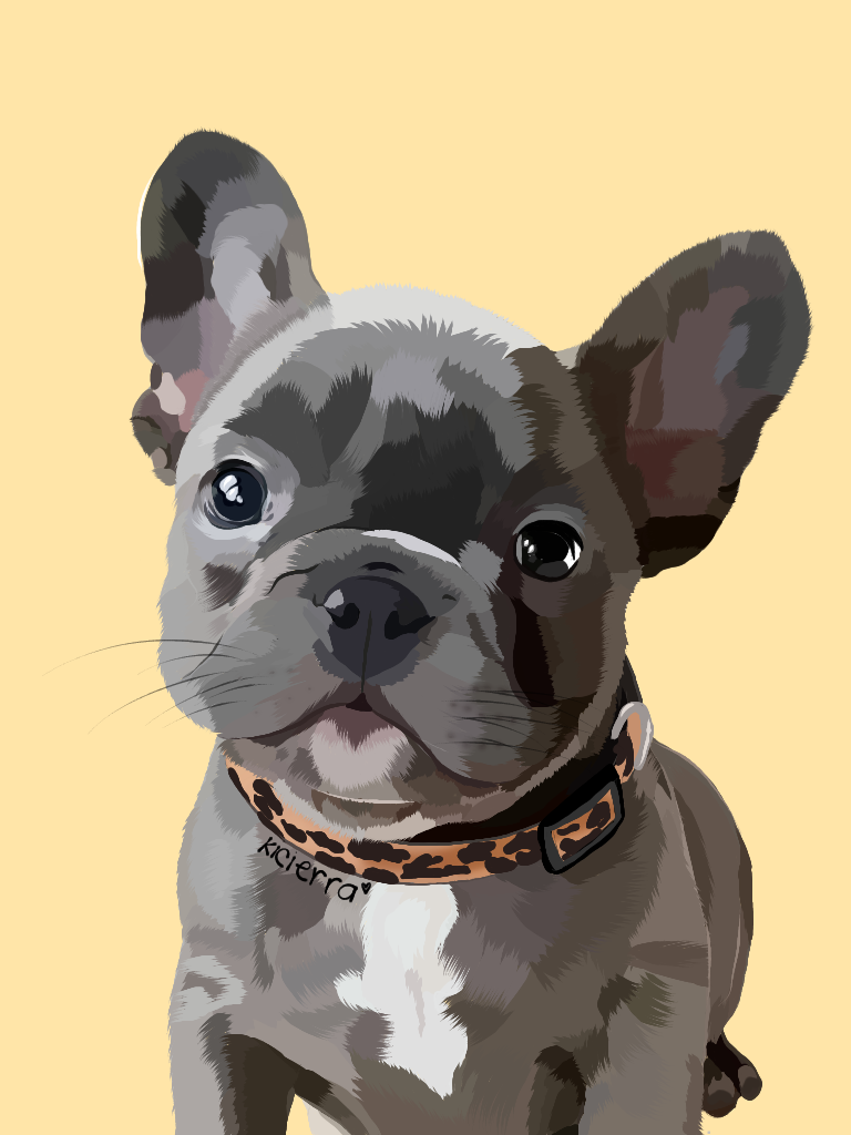 Illustration of a gray French bulldog with a leopard print collar against a pale yellow background.