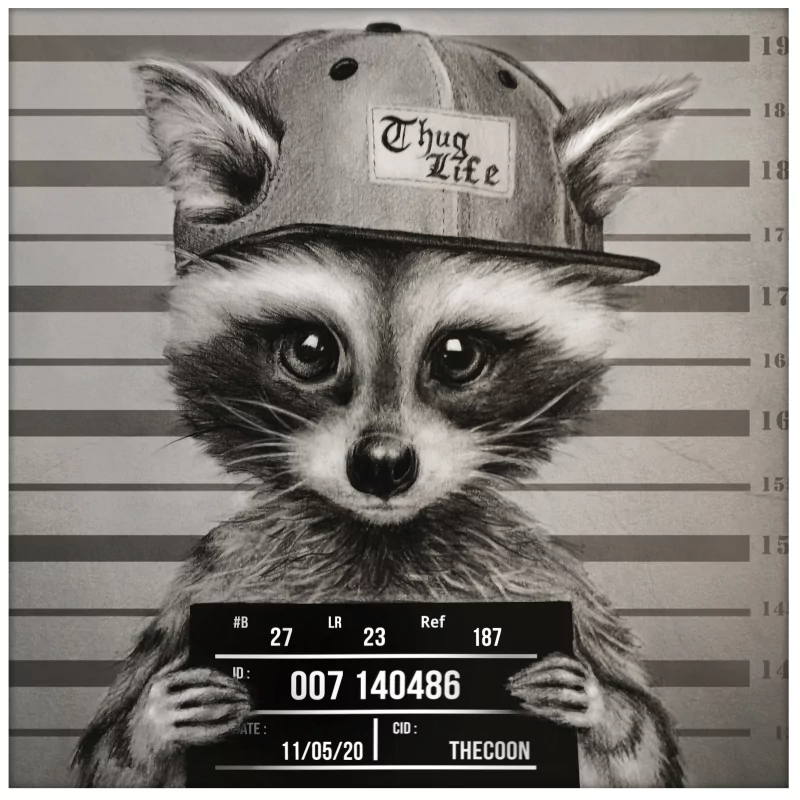 Bad and Ugly Racoon by Professional-List-78