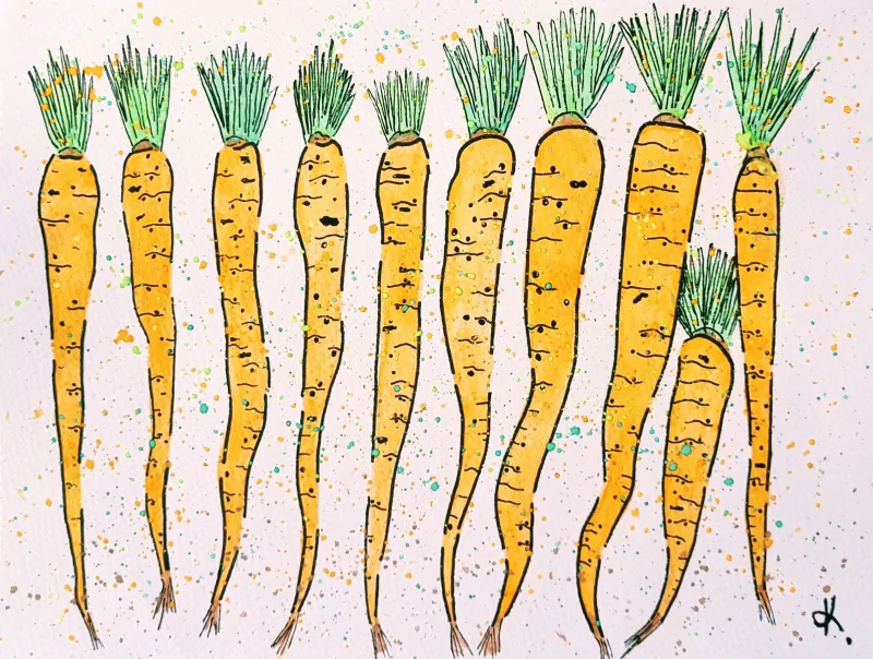  Carrots by ChocolateFridayArt