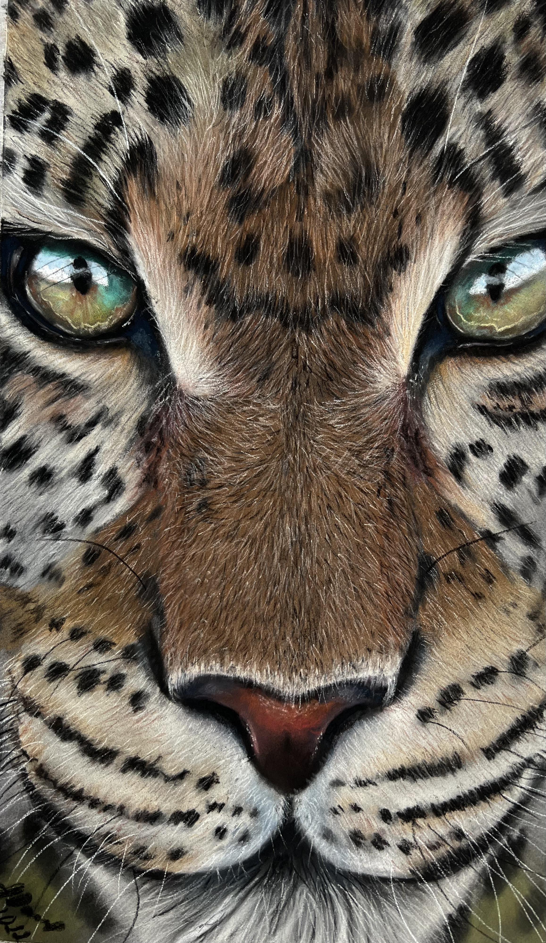 Leopard by AnnaDawsonArt