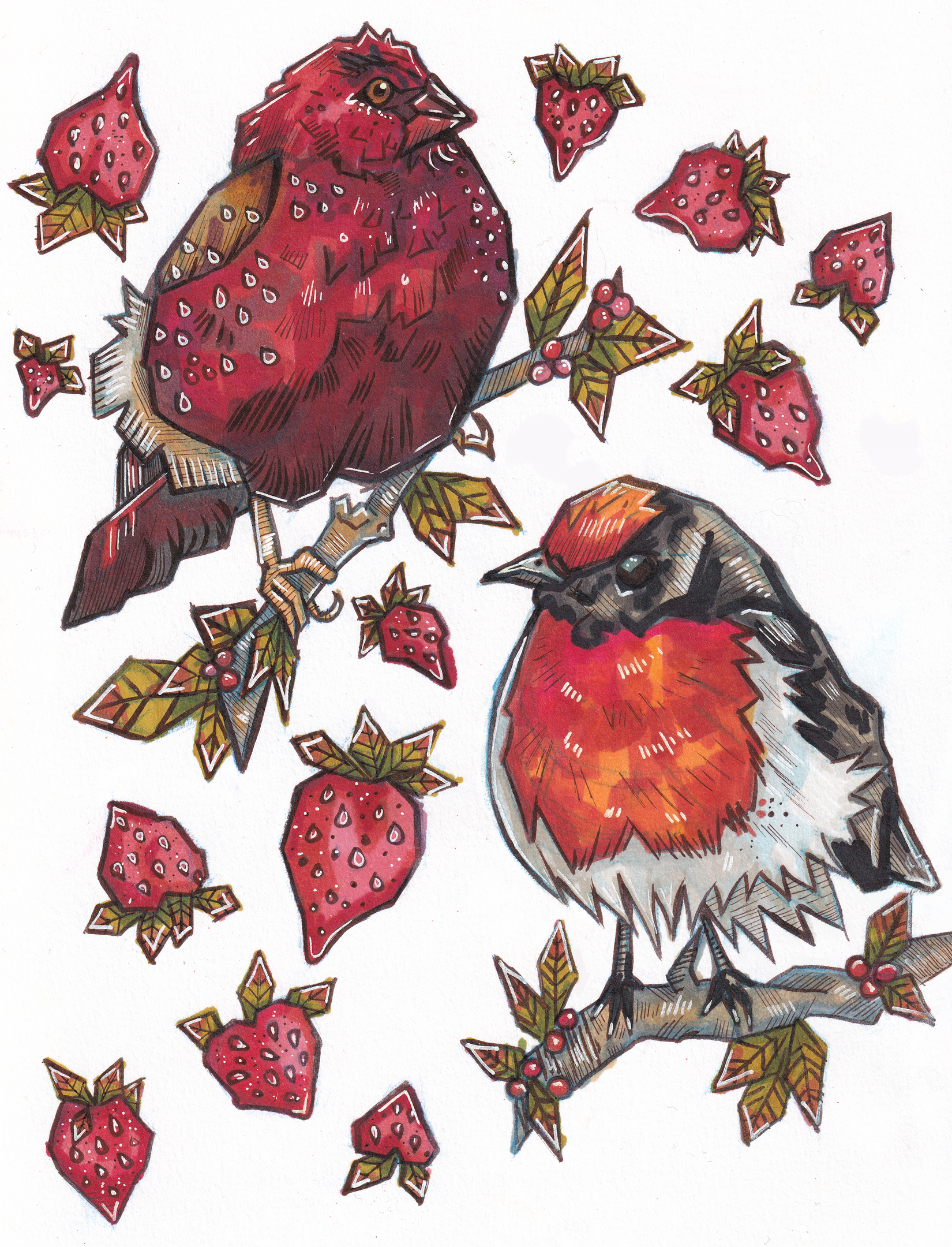 strawberry borbs by brookebohn