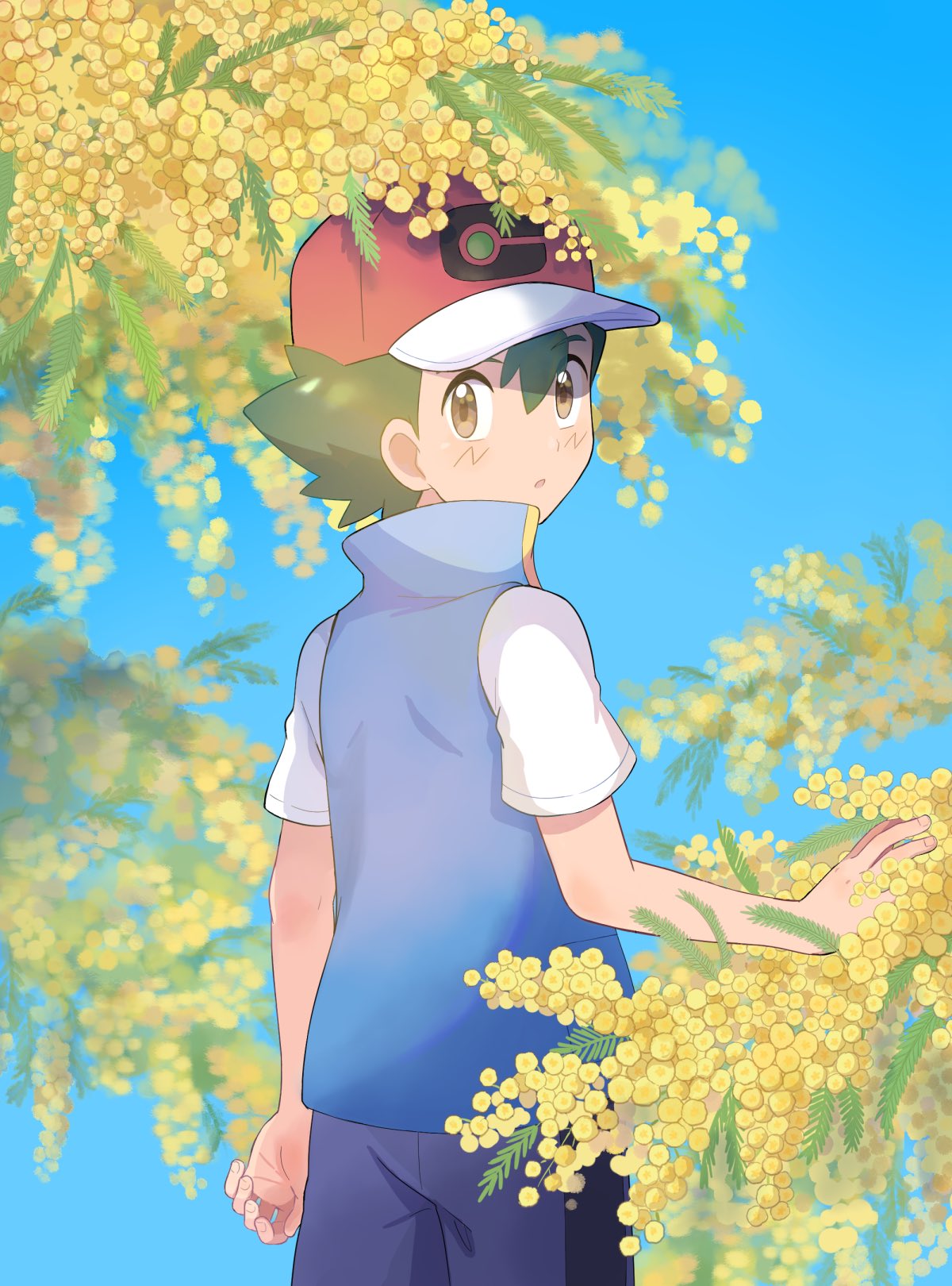 Download Ash Ketchum Anime Pokemon Art