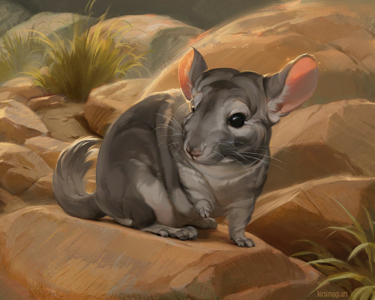 Download Animal Chinchilla Wildlife Illustration Cute Art