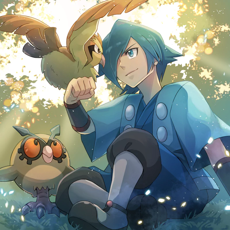 Hoothoot (Pokemon) Pidgey (Pokémon) Falkner (Pokémon) video game Pokémon: HeartGold and SoulSilver Image