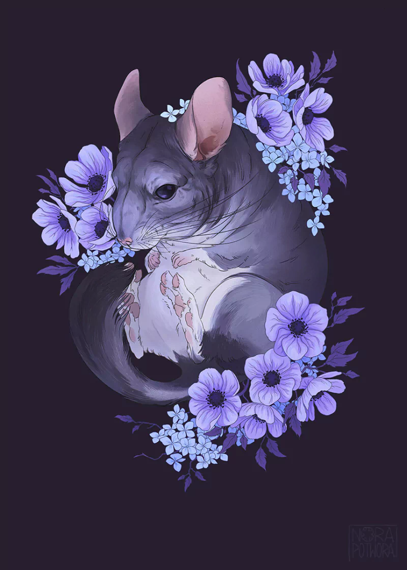 Animal Chinchilla flower illustration Image