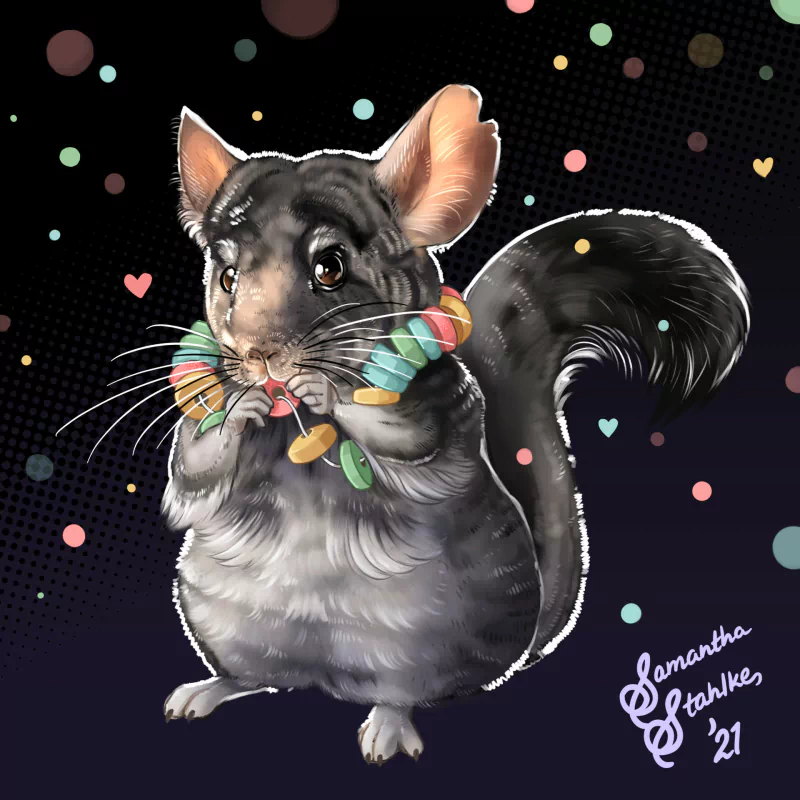  Chunky (AWA) by Samantha Stahlke