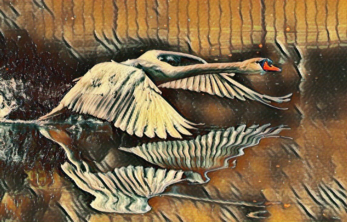 Swan Art by praveenrko
