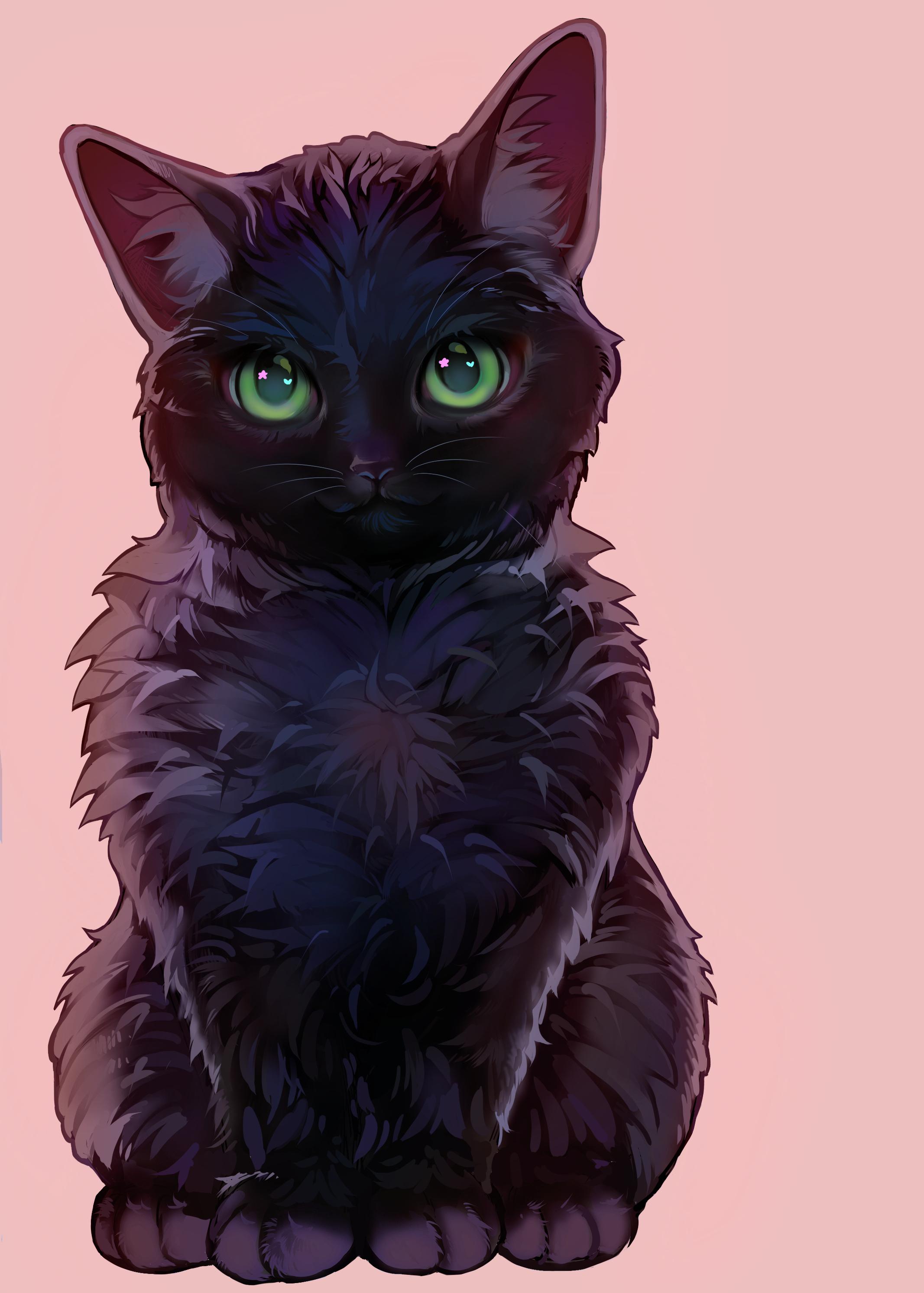 Cat Art by Colehairlesscat