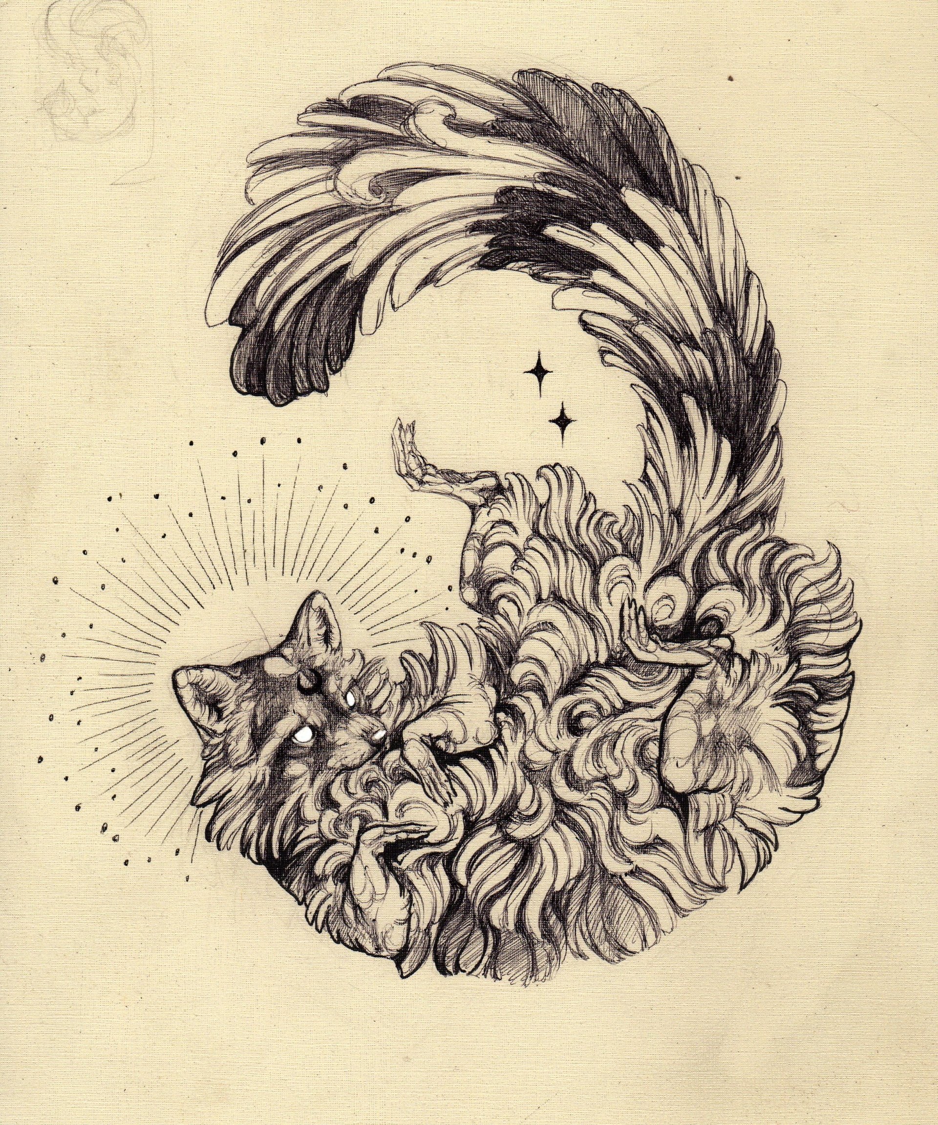 Download Animal Raccoon Art