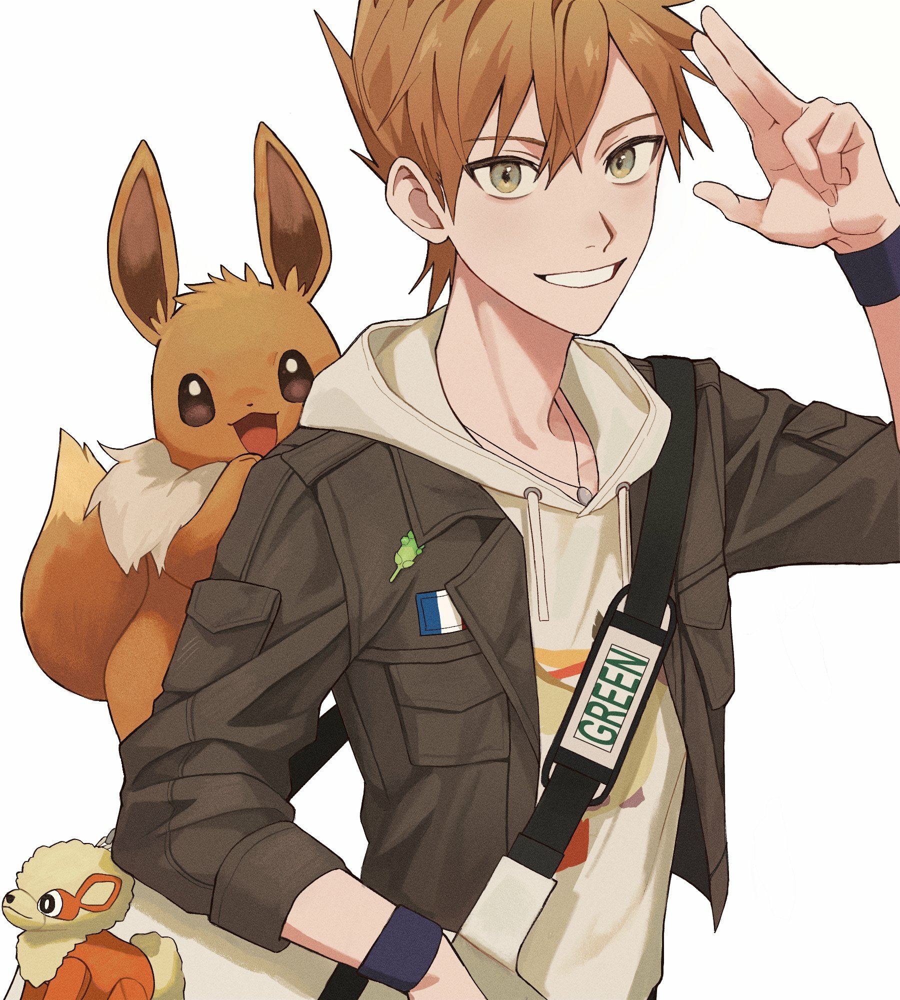 Download Eevee (Pokémon) Blue (Pokémon) Video Game Pokémon: HeartGold And SoulSilver Art