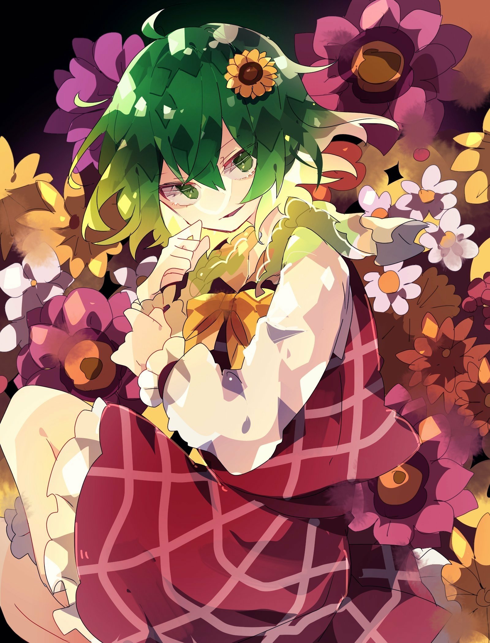 Download Yuuka Kazami Anime Touhou Art