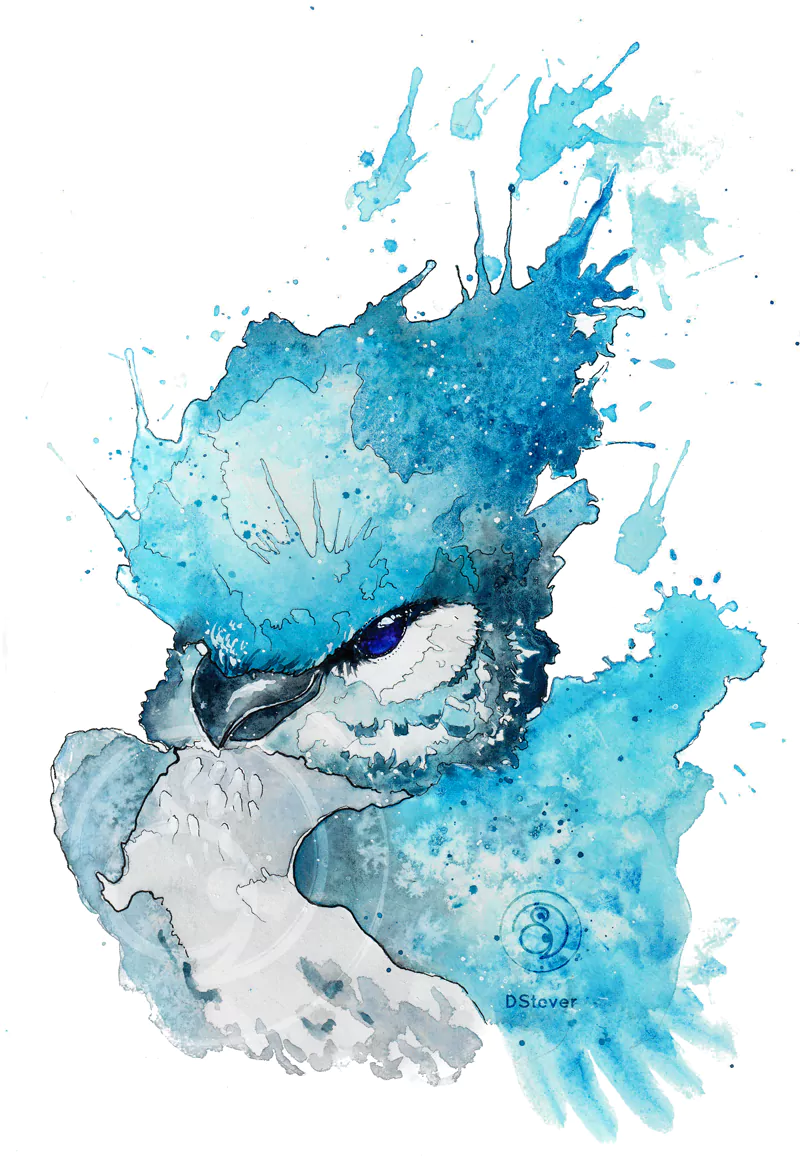  Watercolor Blue Jay by D. Stever