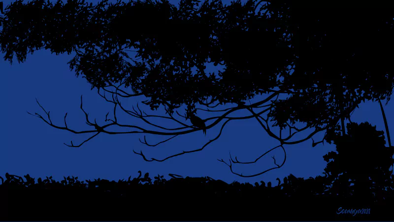  The Blue hour - A short Period of time before sunrise