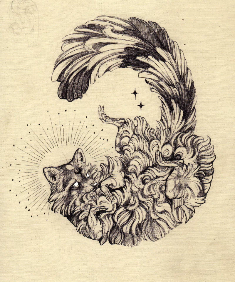 Raccoon by Dakabriz