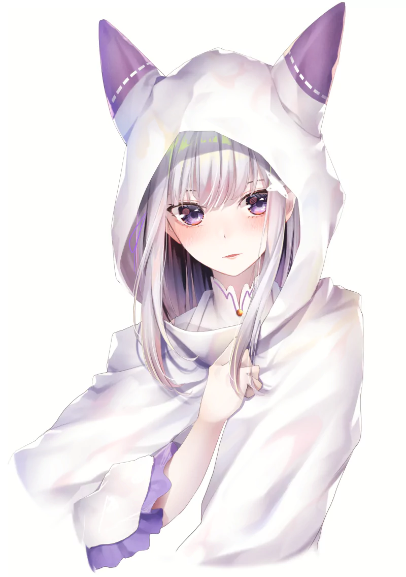 Emilia (Re:ZERO) Anime Re:Zero - Starting Life in Another World Image