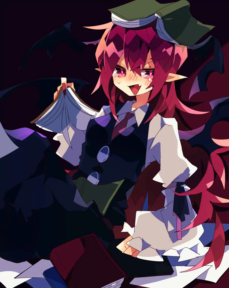Koakuma (Touhou) Anime Touhou Image