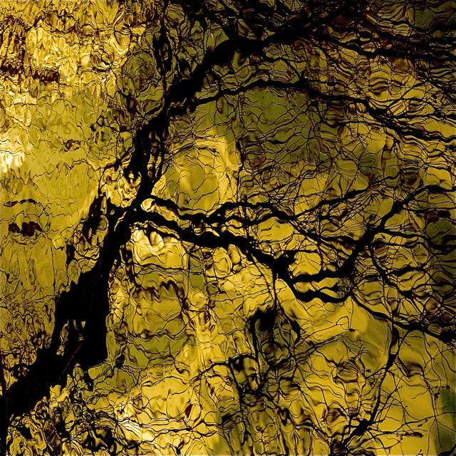 An abstract representation of a river, featuring intricate patterns and textures in shades of yellow, evoking a sense of movement and depth.