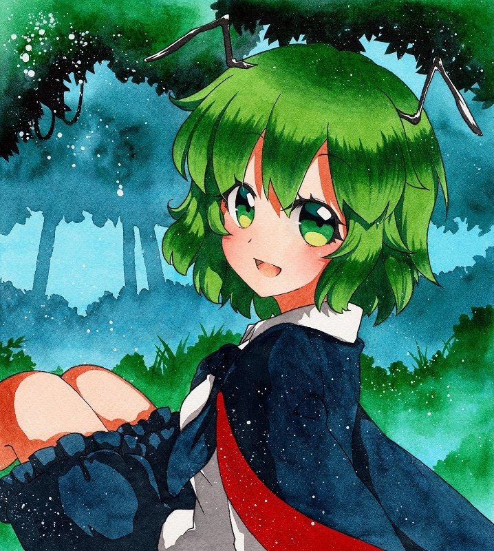 Download Wriggle Nightbug Anime Touhou Art
