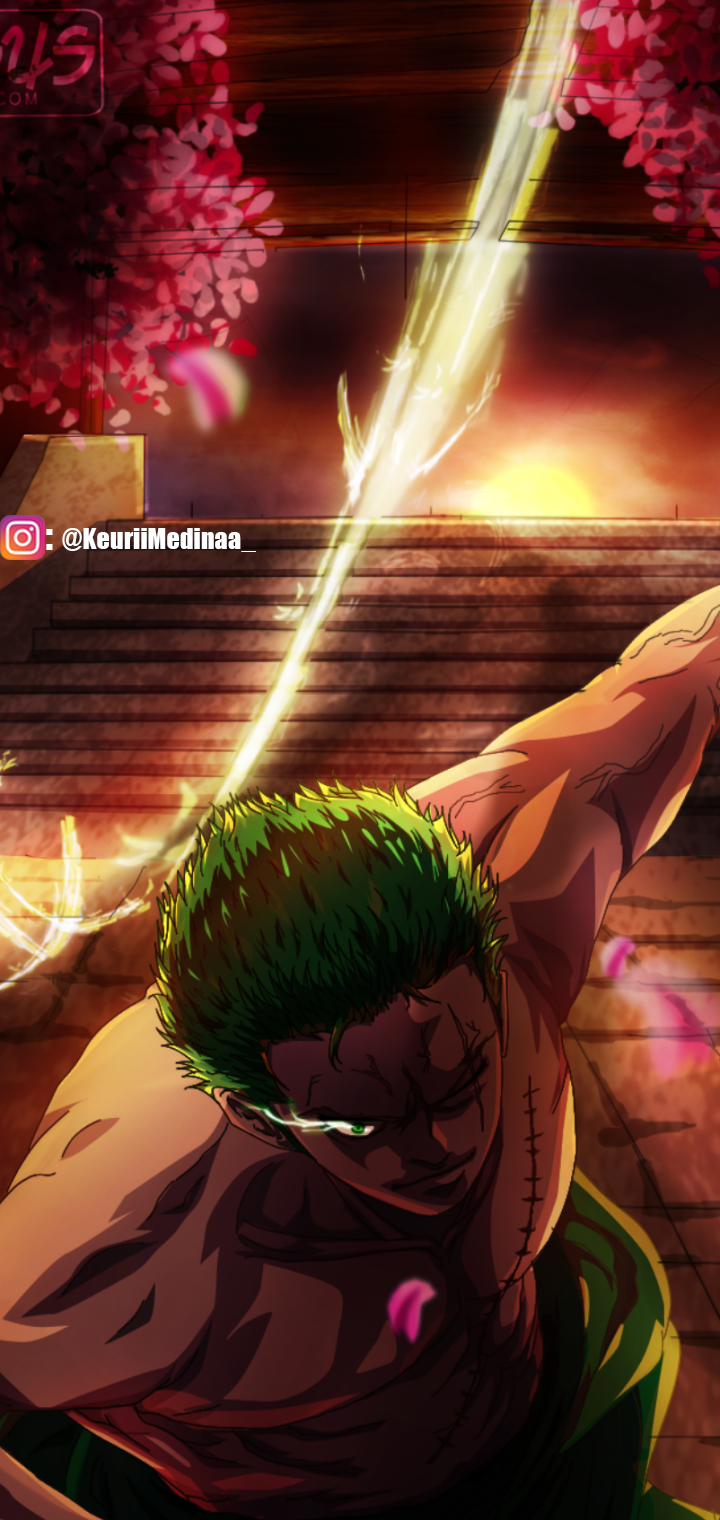Download Roronoa Zoro Anime One Piece Art