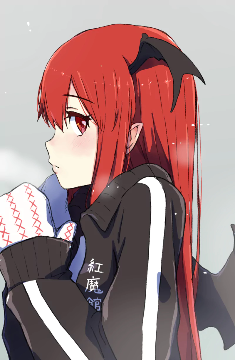 Koakuma (Touhou) Anime Touhou Image