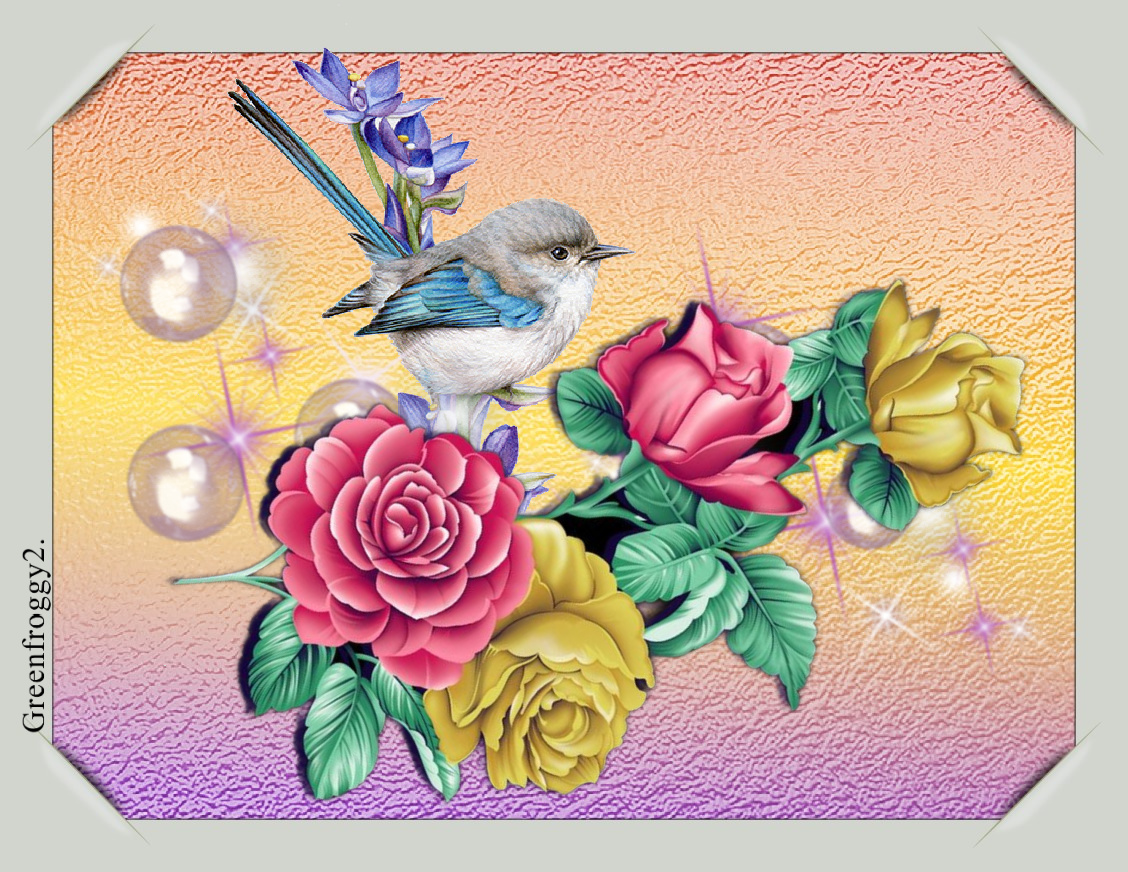 LITTLE BIRD AND ROSES