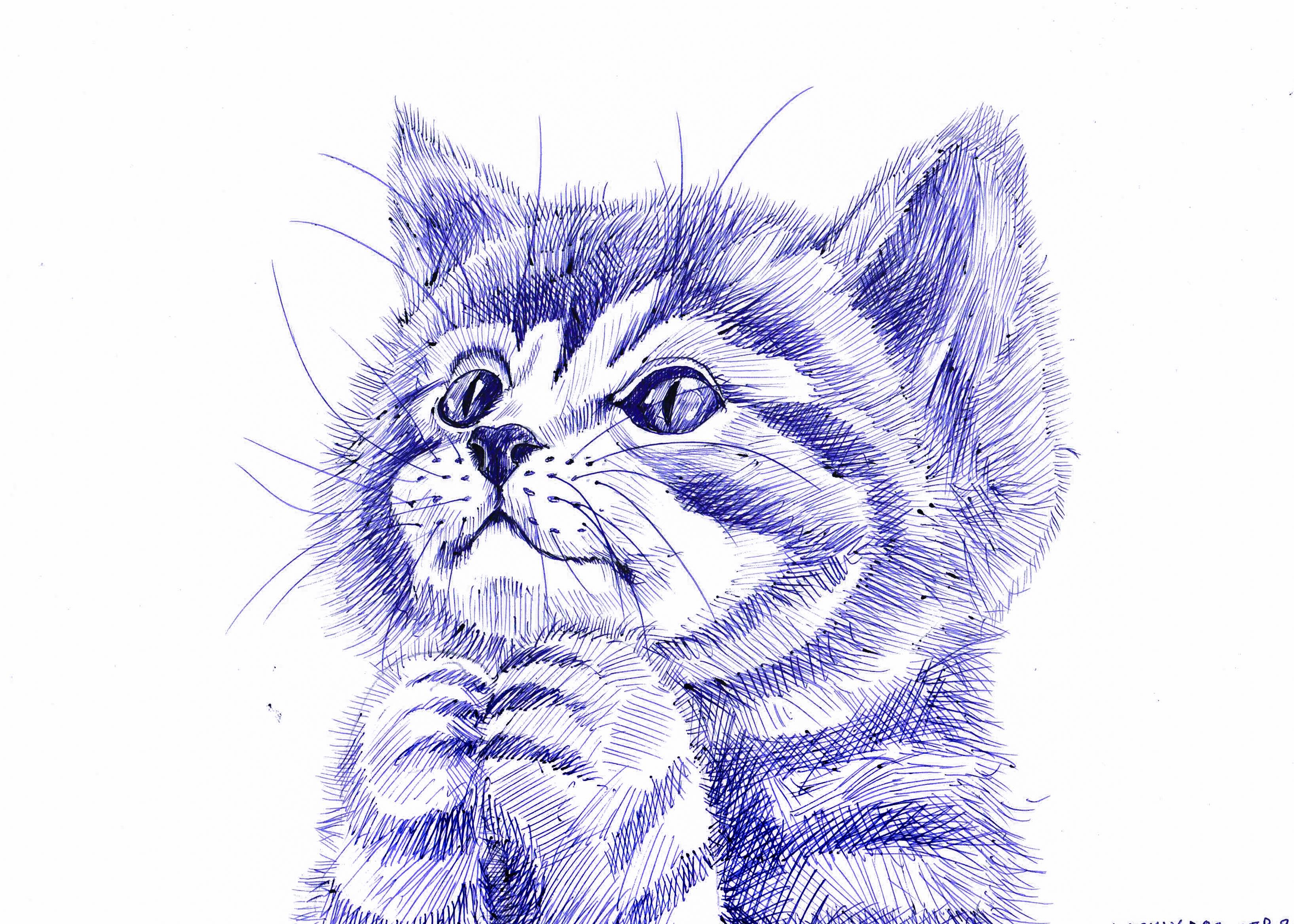 Kitten by DorklyDoc