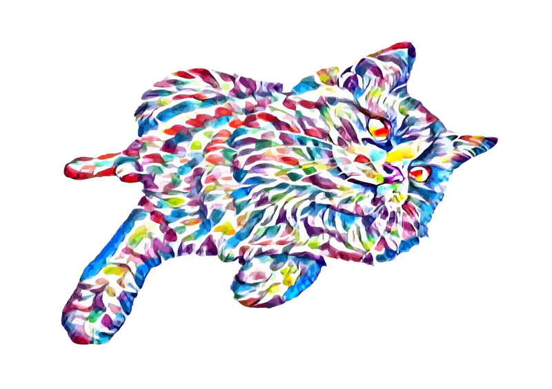  Colorful kitty.