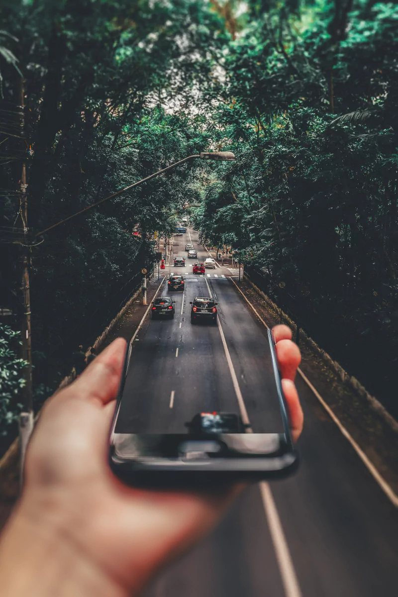  Smart Phone Full 4k Forest Wallpaper