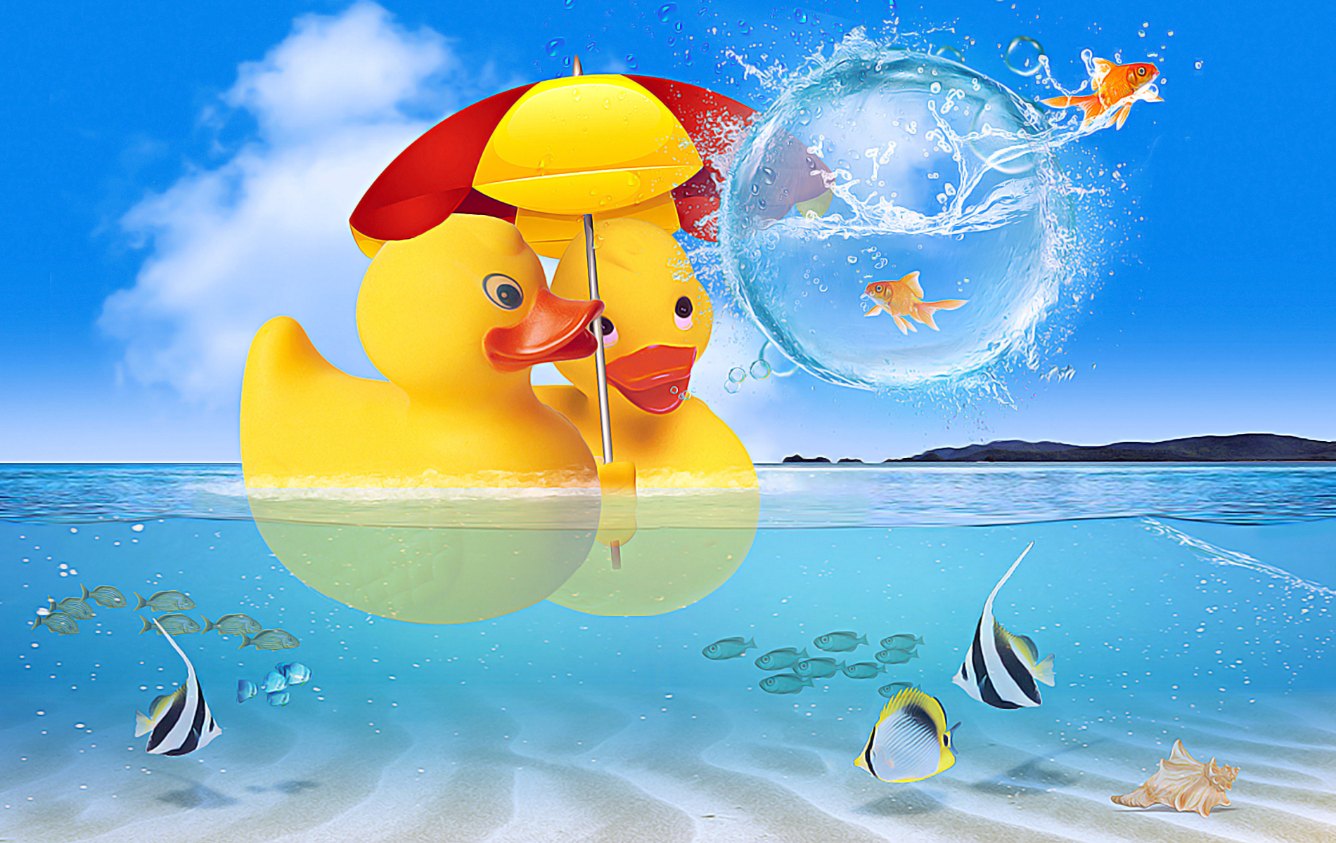 duck in the beach