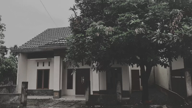  Dream House