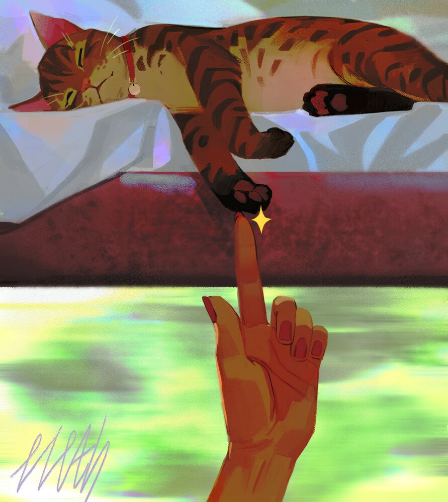 Download Fantasy Witch Cat Hand Pet Art