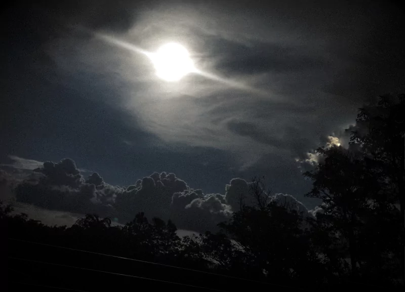 sun tree rain artistic cloud Image